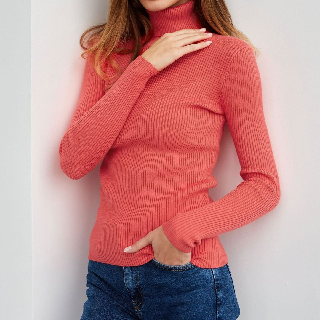 Vinnie | Ribbed Turtleneck Knit Top
